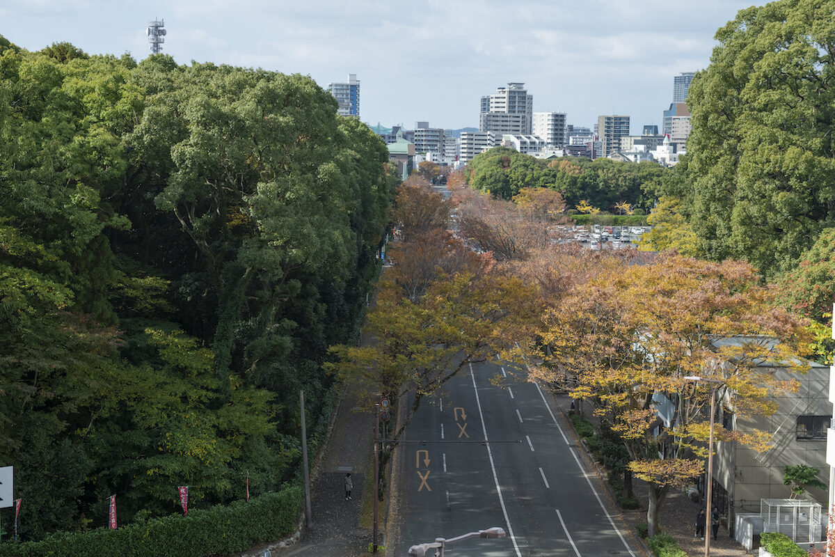 residence_in_akasaka_04